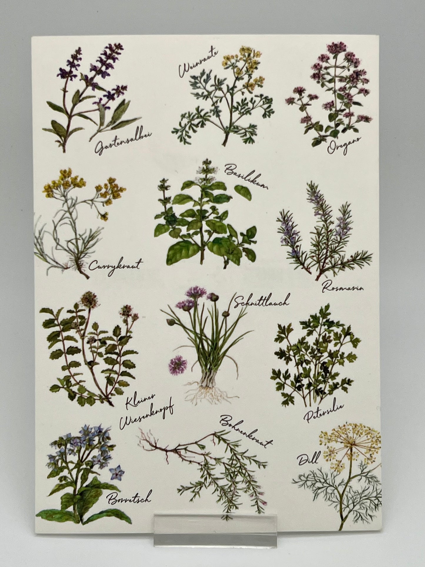 Grußkarte „Kräuter“ PK 20162