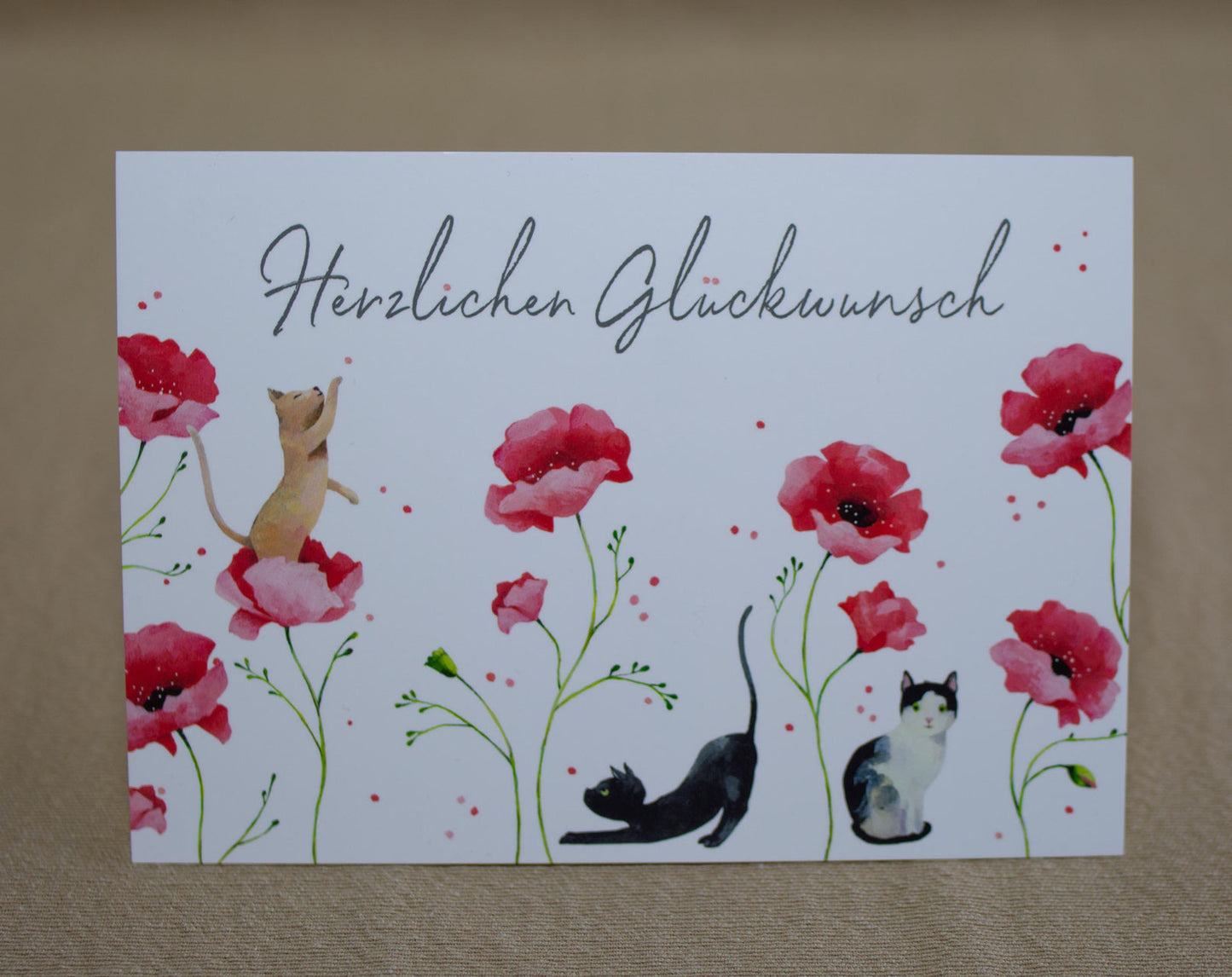 "Herzlichen Glückwunsch" Katzen PK 20163