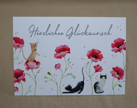 "Herzlichen Glückwunsch" Katzen PK 20163