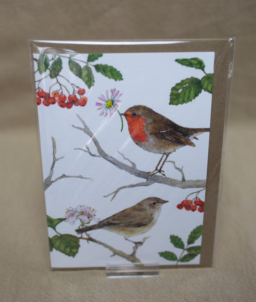 "Rotkehlchen & Co" KLK 13491