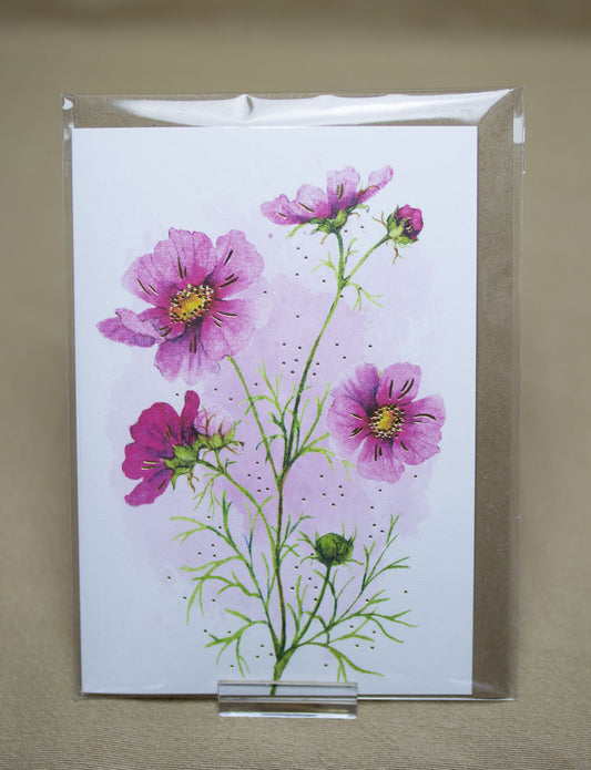 "Cosmea" KLK 13391