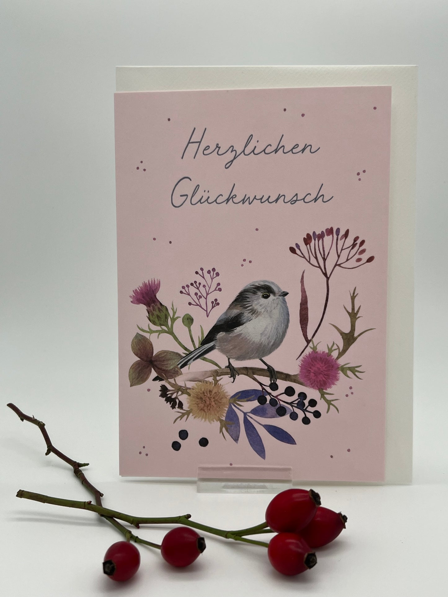 Klappkarte „Meise“ KLK 13042